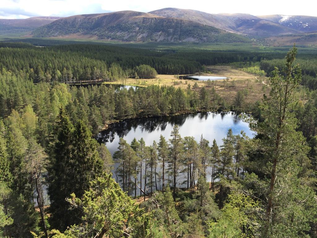 Riverbank Lodge Aviemore Kültér fotó